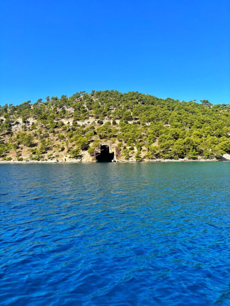 WhatsApp Image 2025-08-31 at 17.05.11